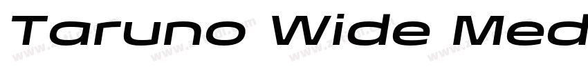 Taruno Wide Med字体转换